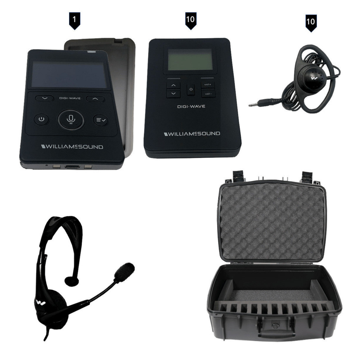 Williams AV DWS INT 2 400 ALK Digi-Wave Interpretation System