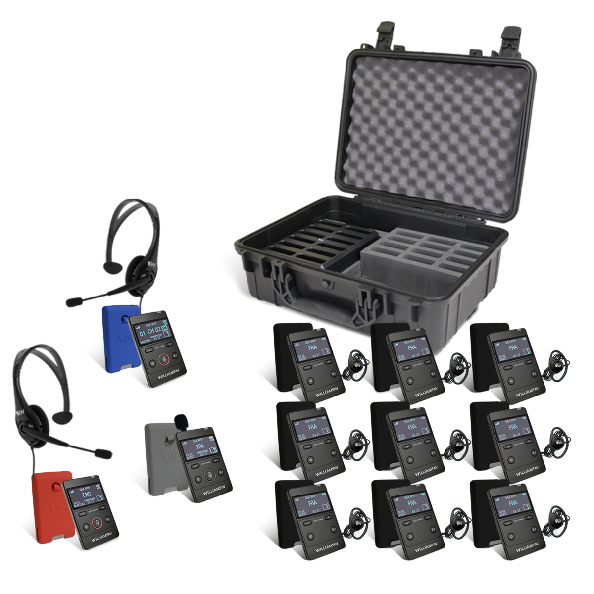Williams AV Digi-Wave AIM (Advanced Interpretation Module) System